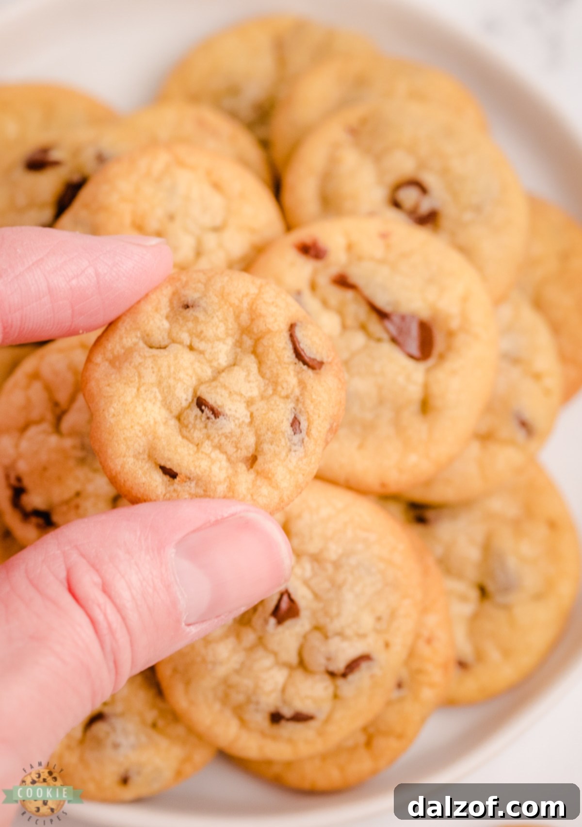 holding up a tiny chocolate chip cookie, showcasing its perfect size and texture