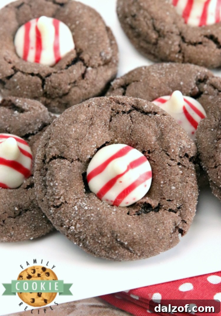 Charming Chocolate Peppermint Blossoms, made with a cake mix and topped with Hershey's Candy Cane Kisses.