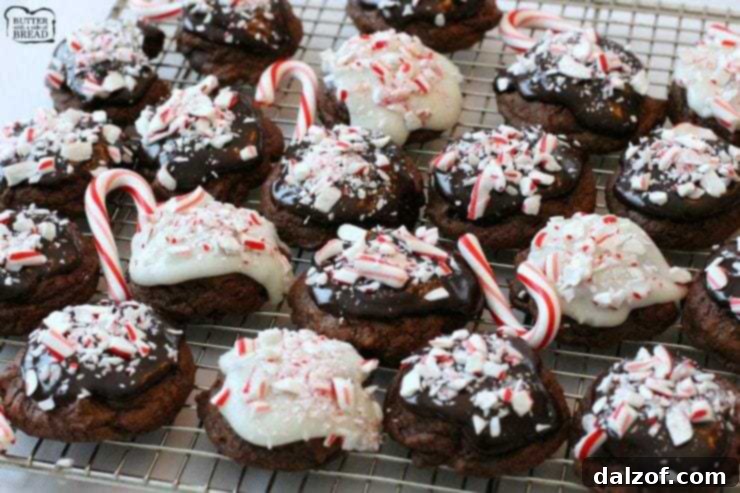 Rich Peppermint Fudge Cookies, covered in a chocolate glaze and topped with crushed peppermint pieces.