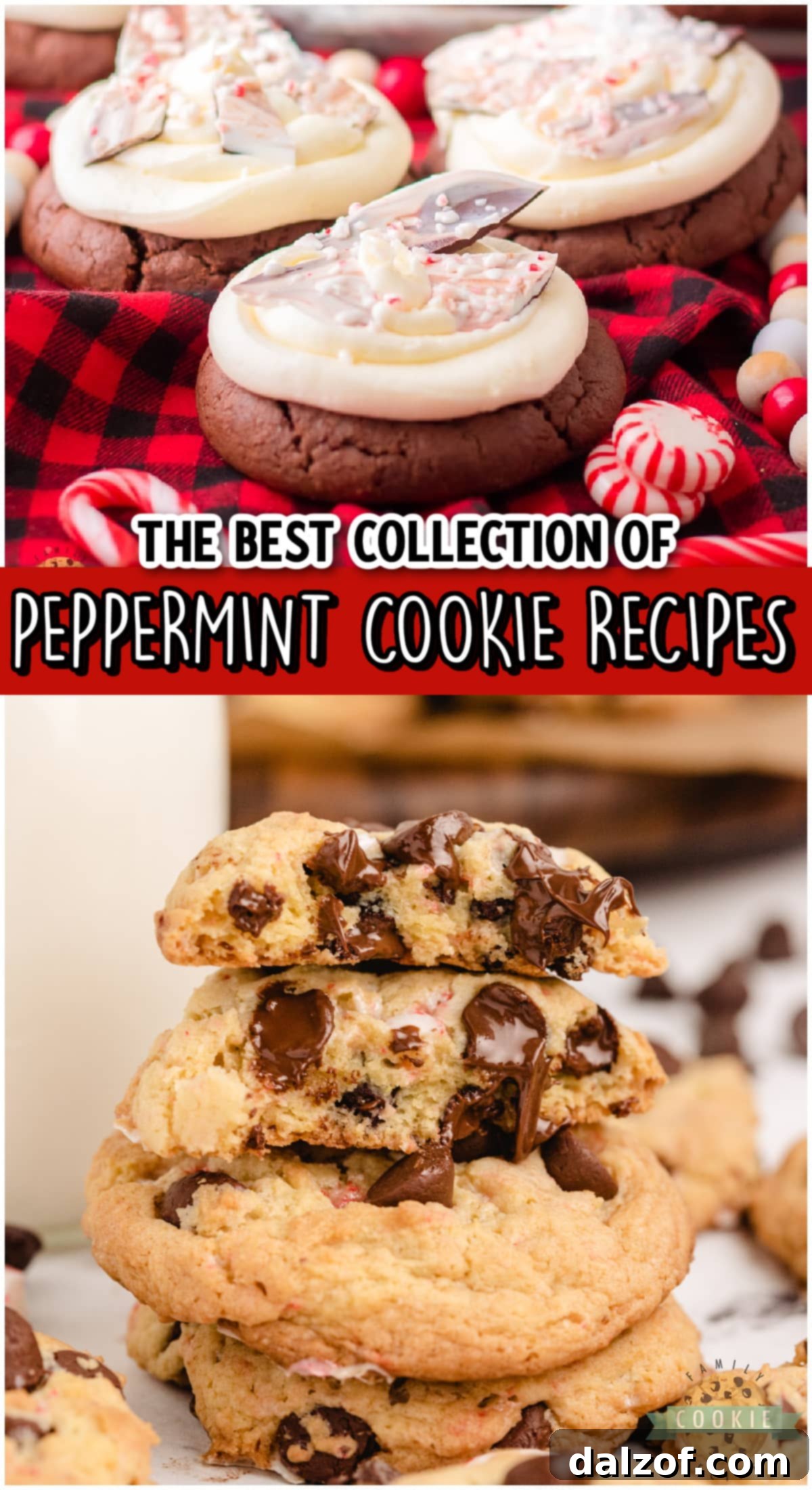 An inviting collection of various peppermint cookie recipes, showcasing their festive designs and delicious textures.