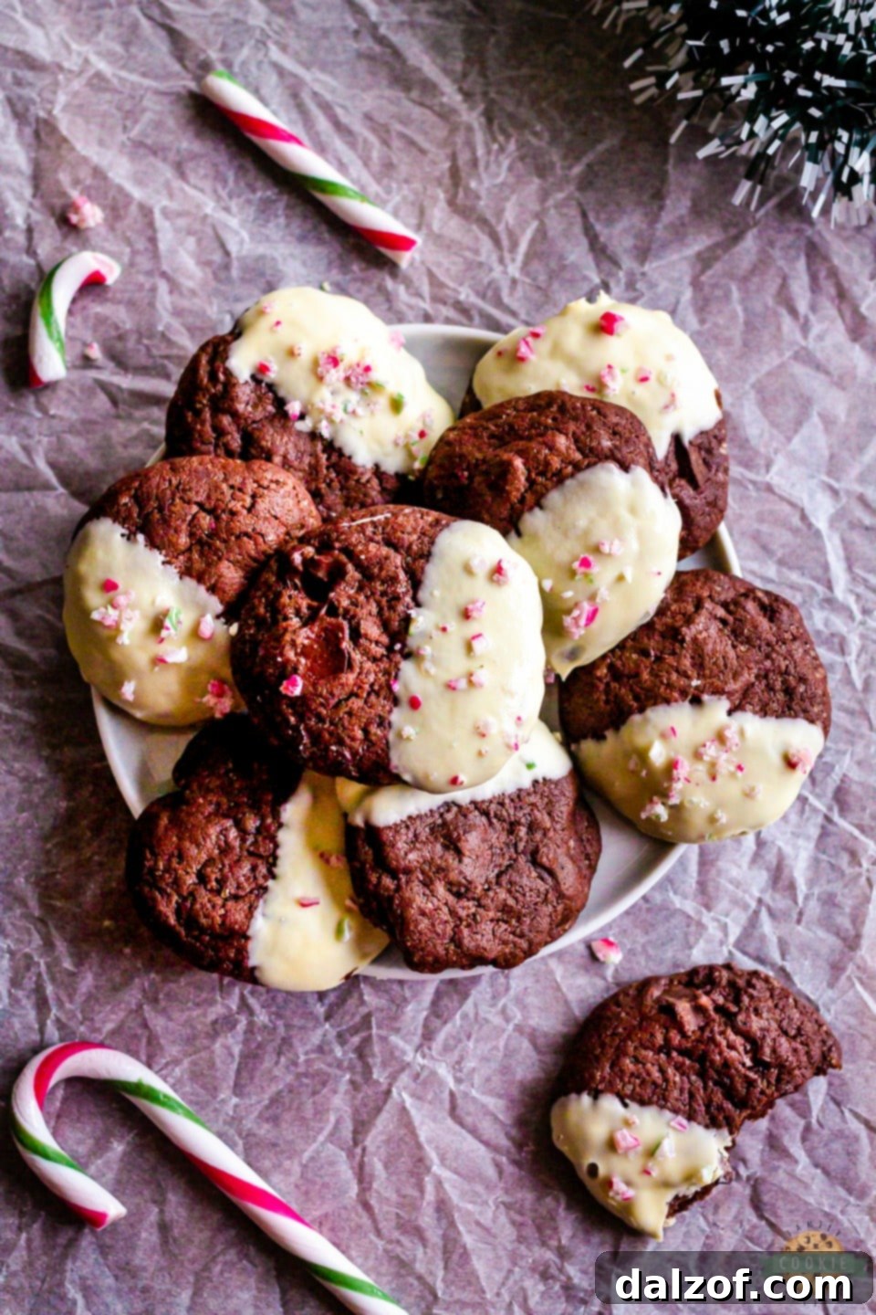 Delicious Double Chocolate Brownie Peppermint Cookies, partially dipped in white chocolate, ready for holiday goodie trays.