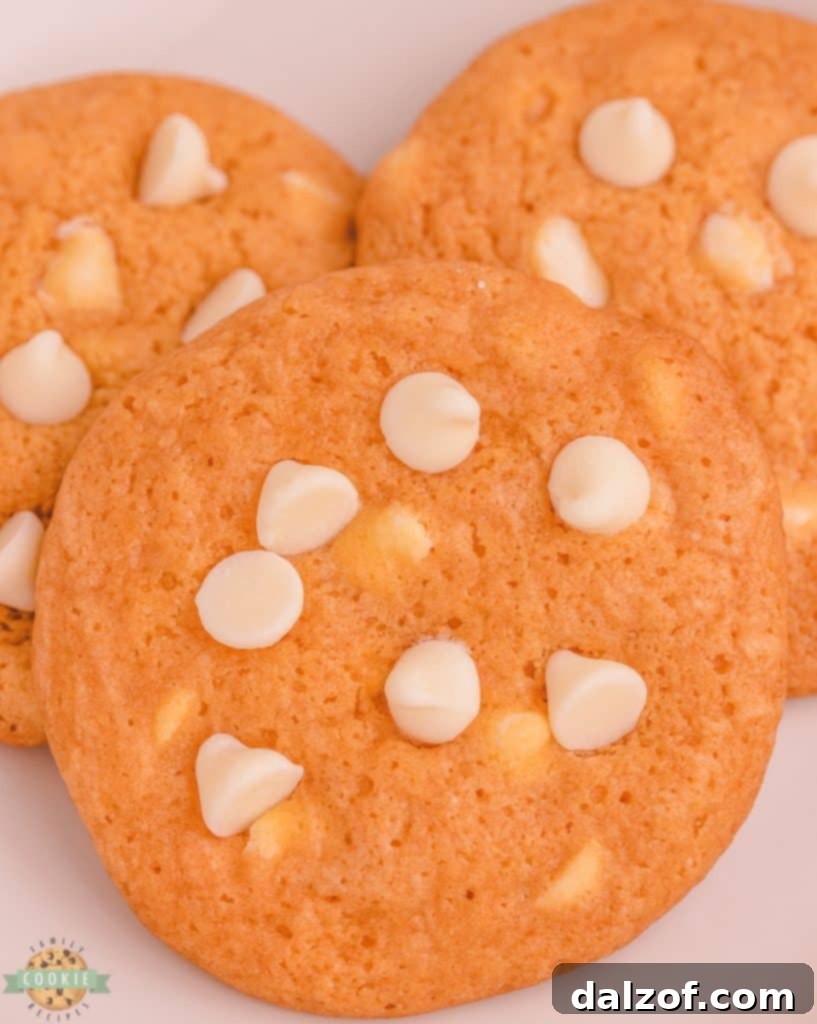 Close-up of perfectly baked pumpkin pudding cookies with white chocolate chips, showcasing their soft, chewy texture.