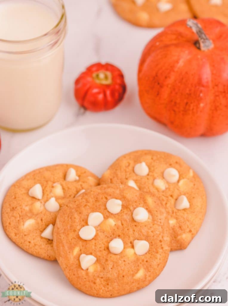 Three perfectly baked pumpkin pudding cookies with visible white chocolate chips on a rustic white plate.