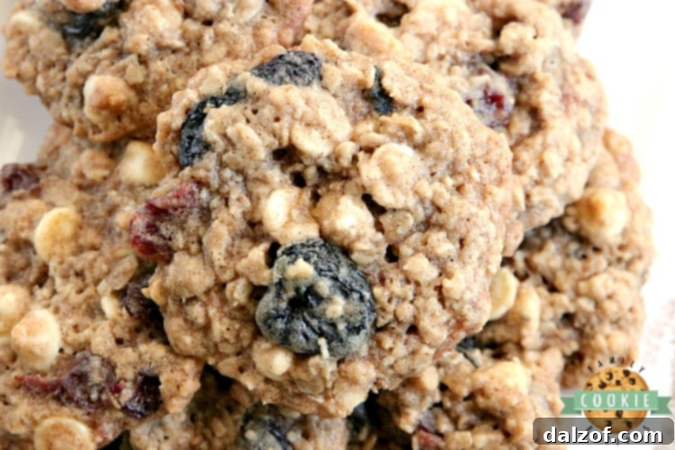 Decadent White Chocolate Cherry Oatmeal Cookies 3 Close-up of baked White Chocolate Cherry Oatmeal Cookies.