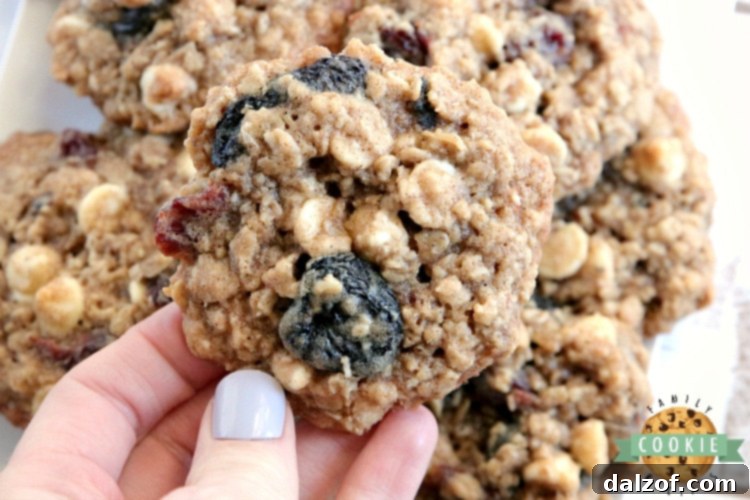 Decadent White Chocolate Cherry Oatmeal Cookies 4 Freshly baked White Chocolate Cherry Oatmeal Cookies cooling on a rack.