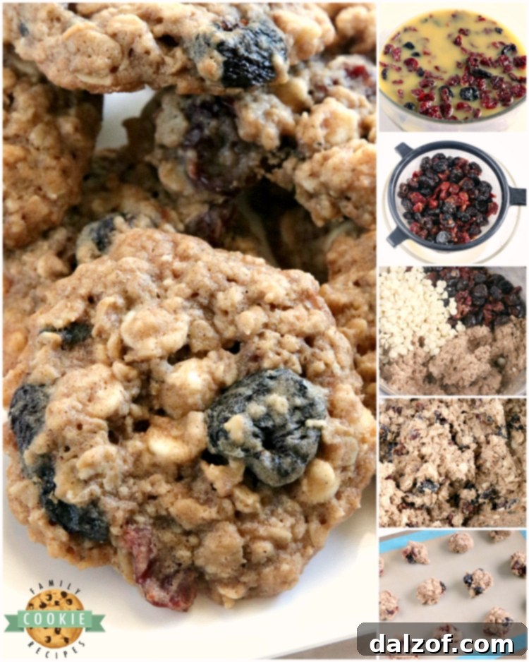 Decadent White Chocolate Cherry Oatmeal Cookies 6 Step by step instructions on how to make oatmeal cookies with cherries and white chocolate chips
