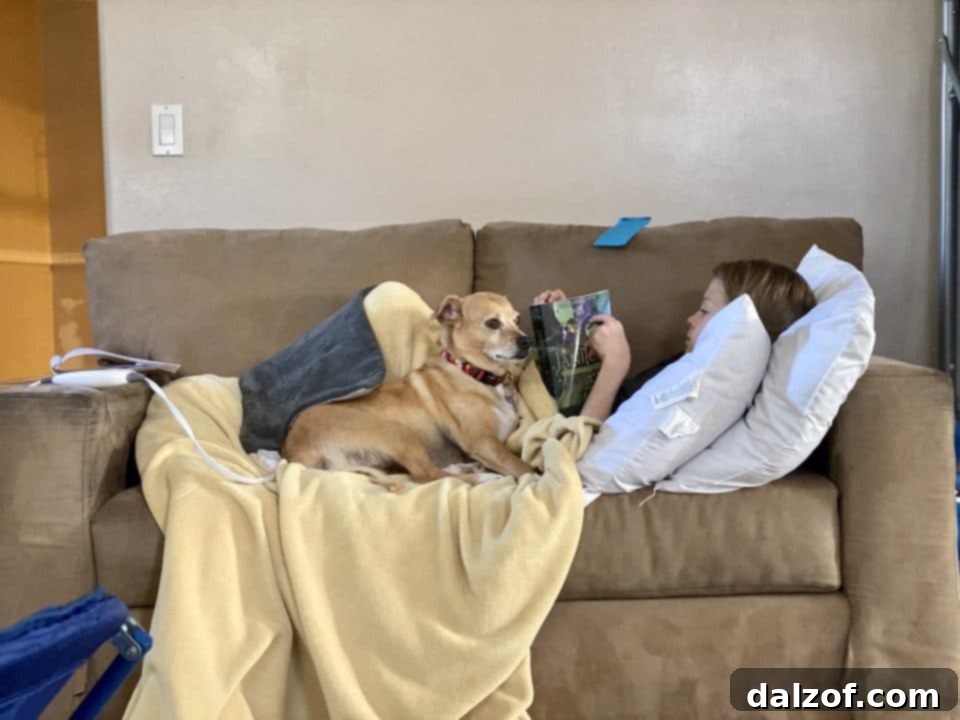 img 2644 15