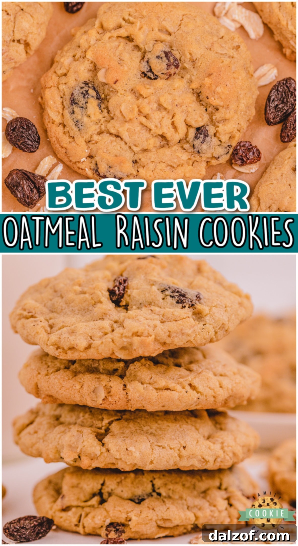 A beautifully arranged flat lay of oatmeal raisin cookies, highlighting their soft and chewy texture with delicious spices.