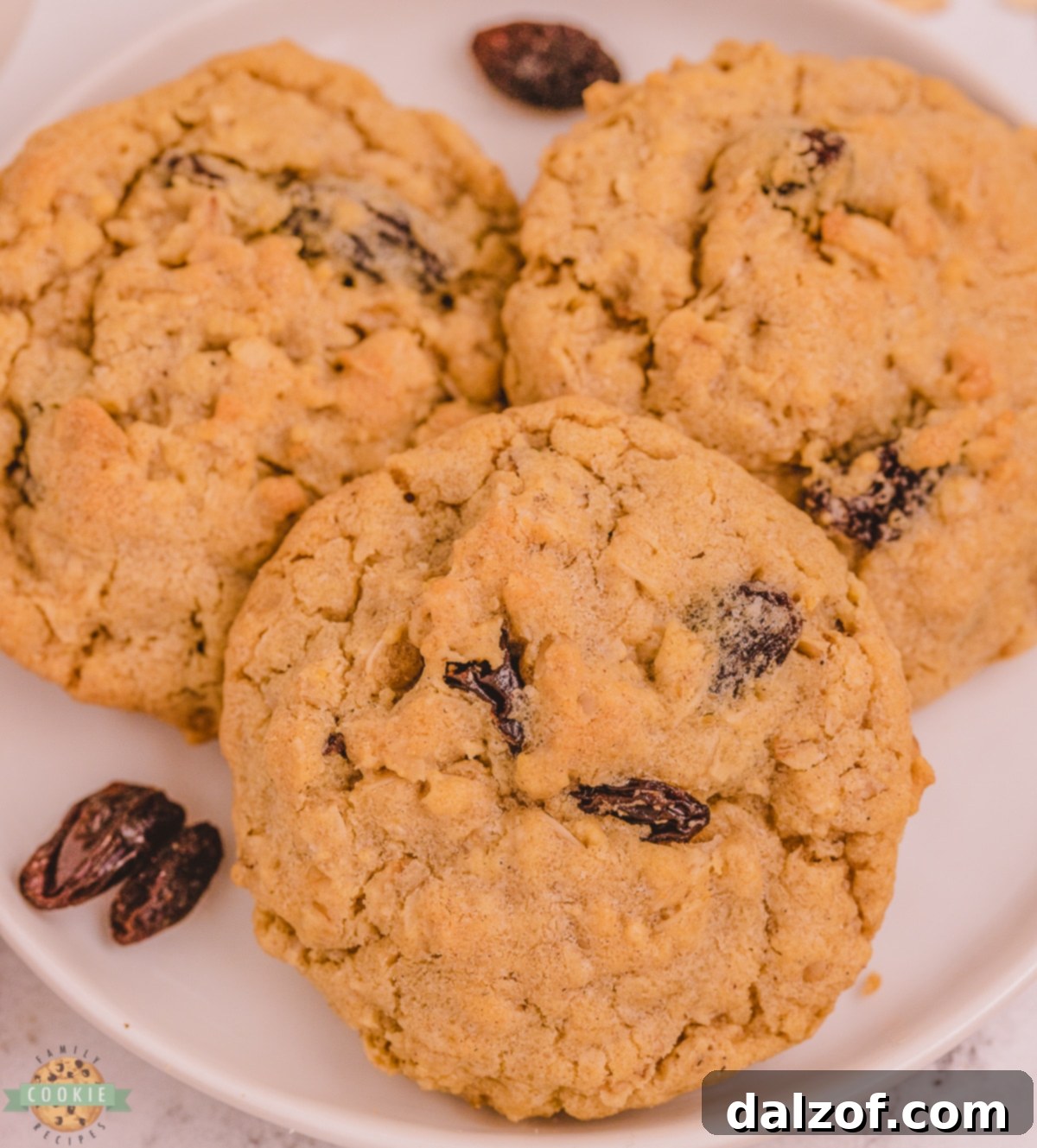 Close-up of soft and chewy oatmeal raisin cookies with visible oats and raisins.