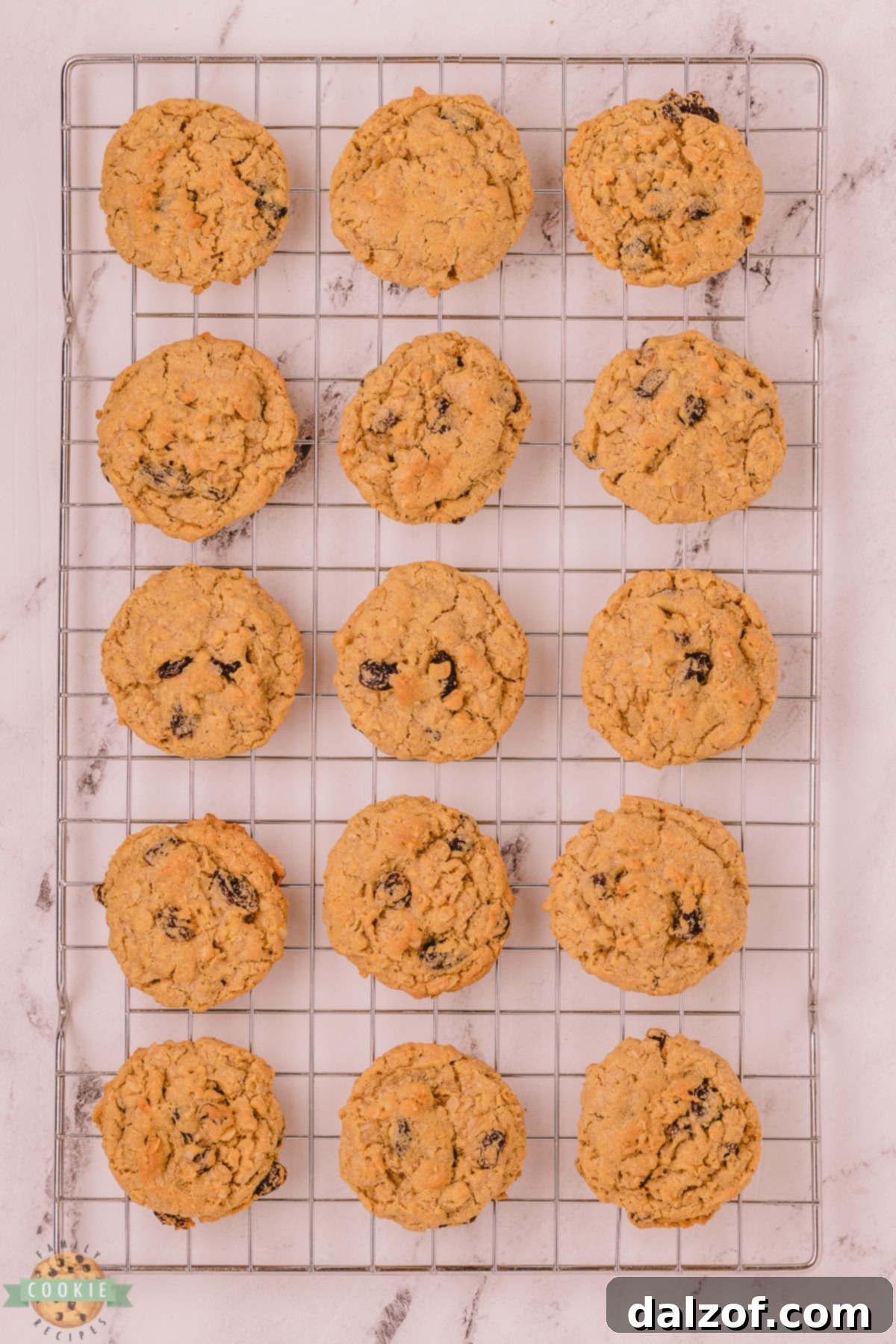 Warm oatmeal raisin cookies cooling on a wire rack.