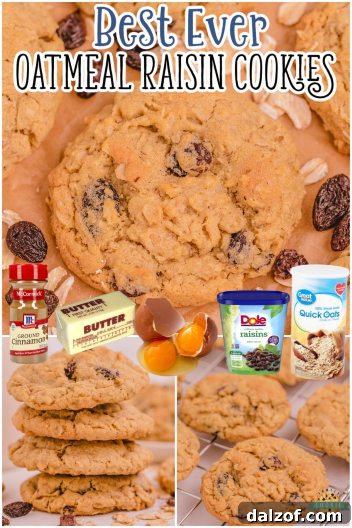 Oatmeal Raisin Cookies that truly are the BEST EVER! Oatmeal, raisins, pudding mix & spices combine in most delicious, soft & chewy Oatmeal Raisin Cookies you've ever tasted. A collage of cookie images.