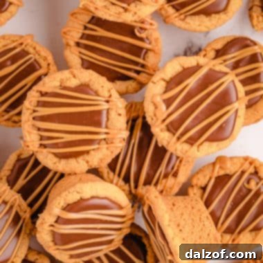 peanut butter fudge cups cookies