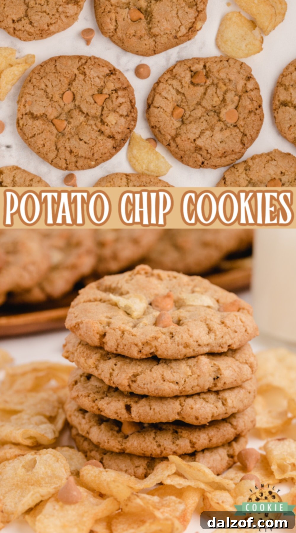 Potato Chip Cookies with butterscotch chips, showcasing their unique salty and sweet flavor