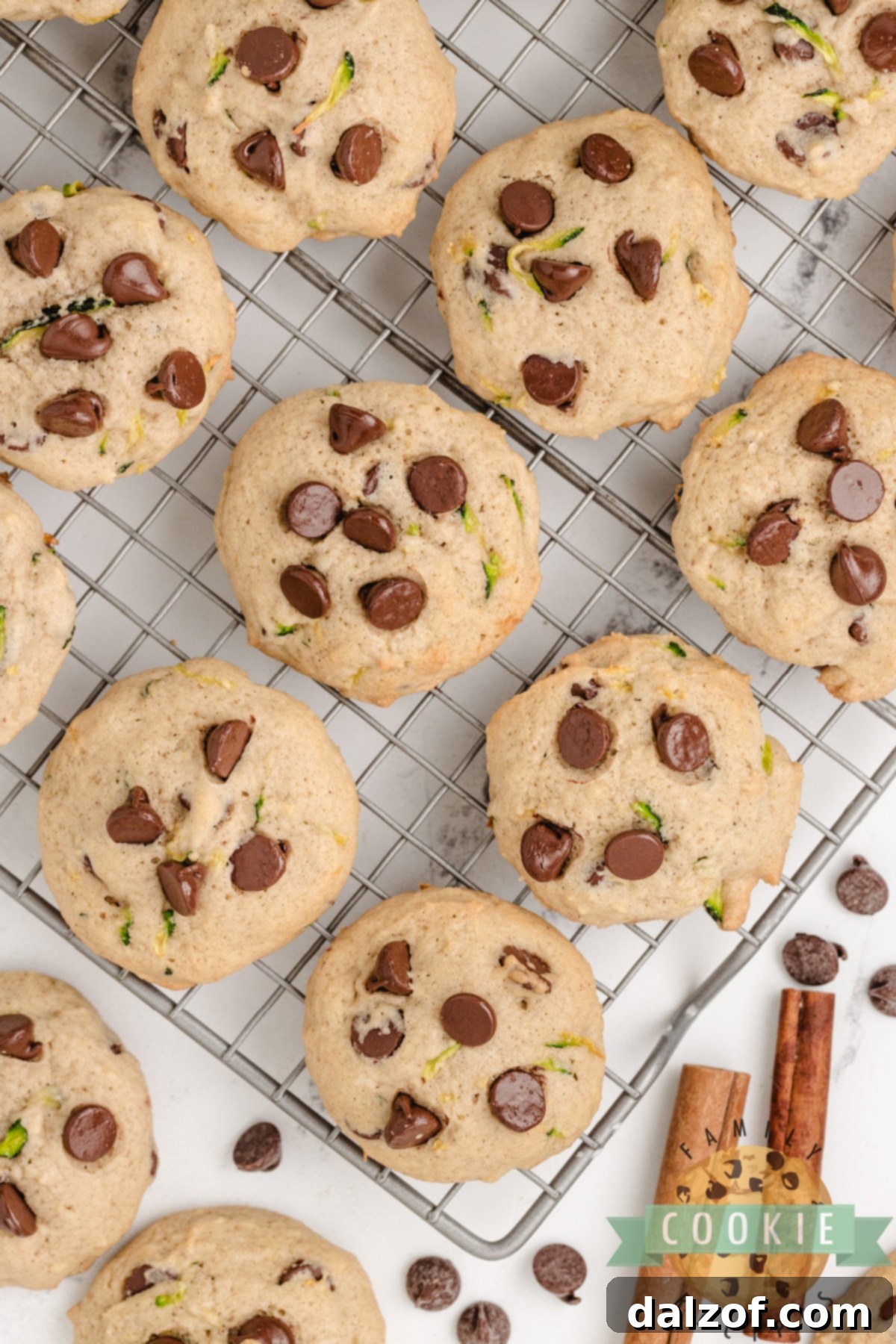 Zucchini Chocolate Chip Cookies are delicious and packed with zucchini. These chocolate chip cookies are the perfect way to sneak in some veggies and use up all the zucchini from your garden!