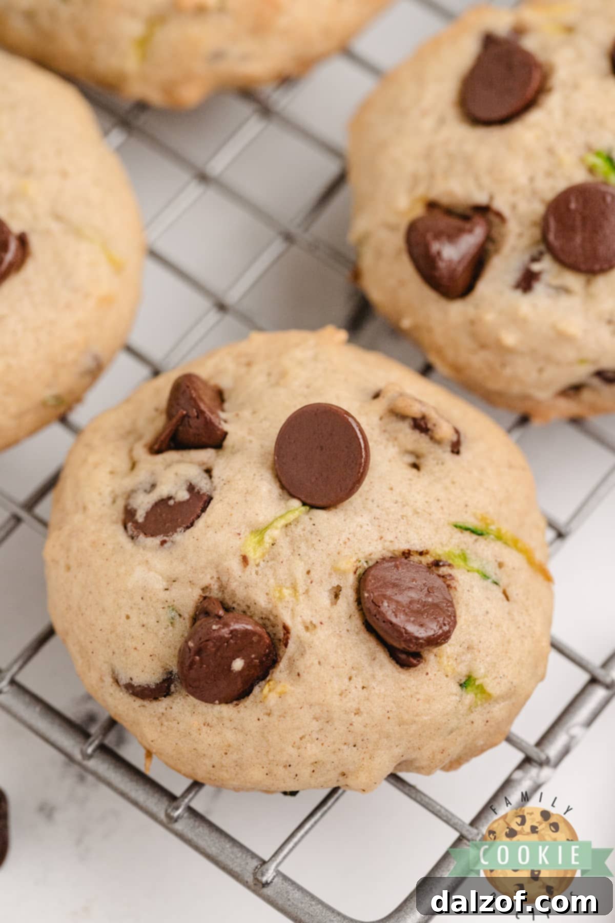 Zucchini Chocolate Chip Cookies are delicious and packed with zucchini. These chocolate chip cookies are the perfect way to sneak in some veggies and use up all the zucchini from your garden!