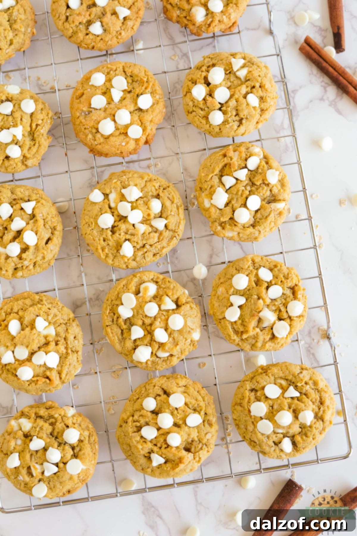 Pumpkin cookies with white chocolate chips cooling on a wire rack.