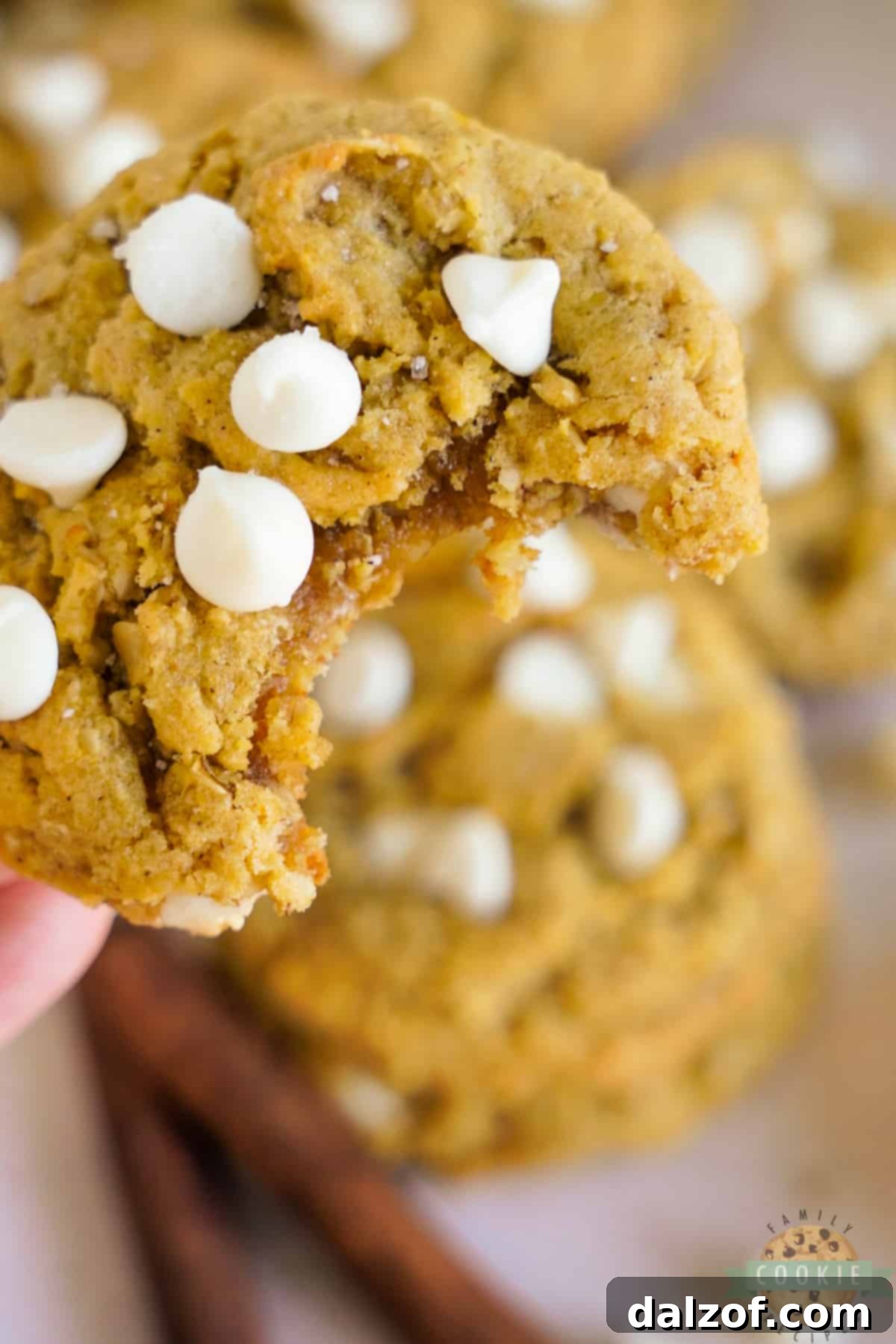 Close-up of a pumpkin cookie with visible white chocolate chips and a slightly crisp edge.