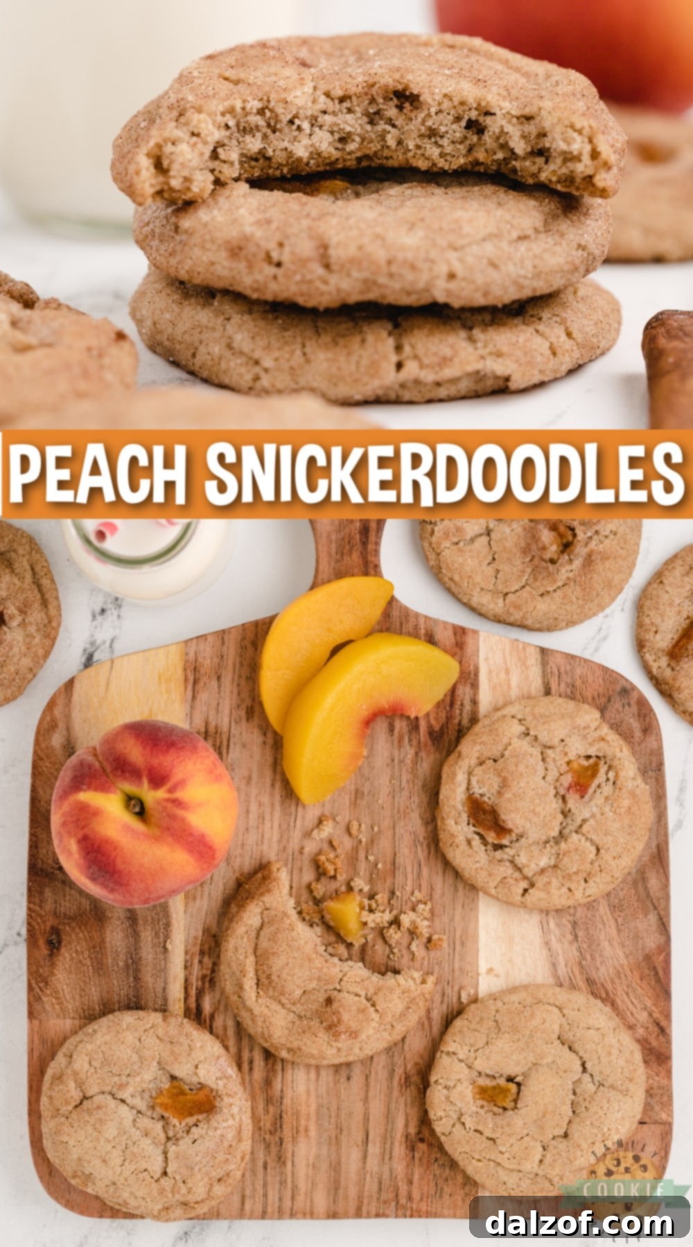 Peach Snickerdoodle Cookies are soft, chewy, delicious and the addition of fresh peaches makes these cinnamon sugar cookies even better!