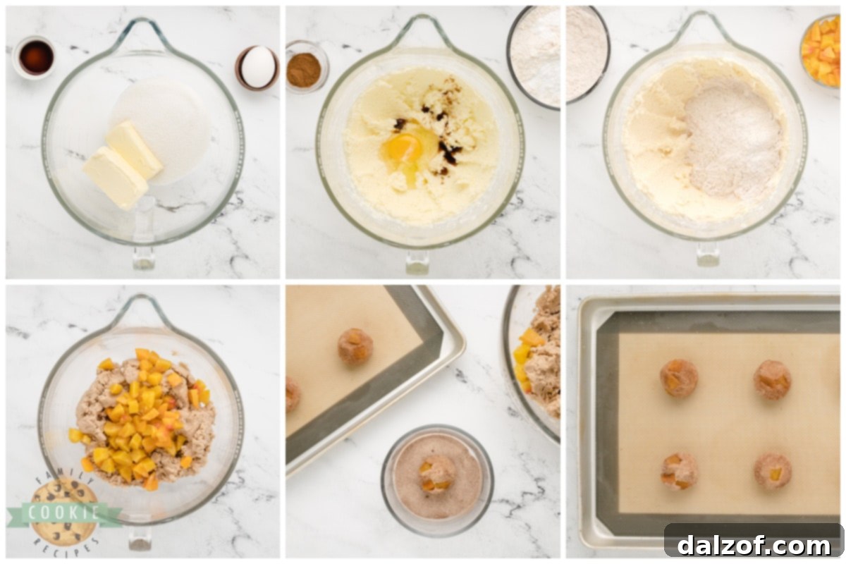 Step by step instructions on how to make Peach Snickerdoodle Cookies