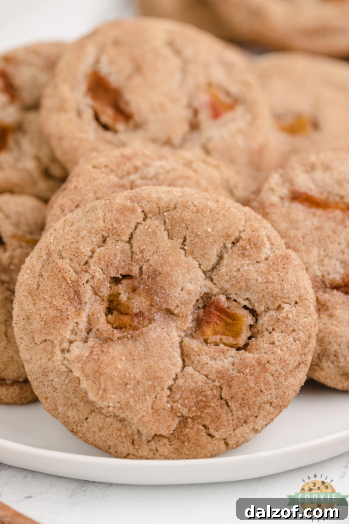 Soft and chewy snickerdoodle cookie recipe