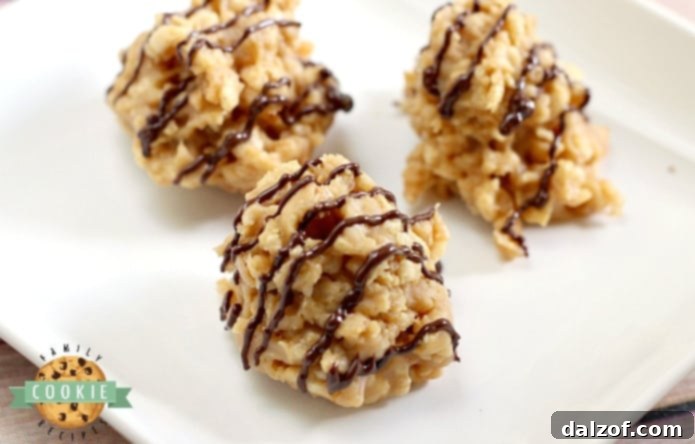 Delicious Peanut Butter No Bake Cookies, crunchy, sweet, and made in minutes with a chocolate drizzle.