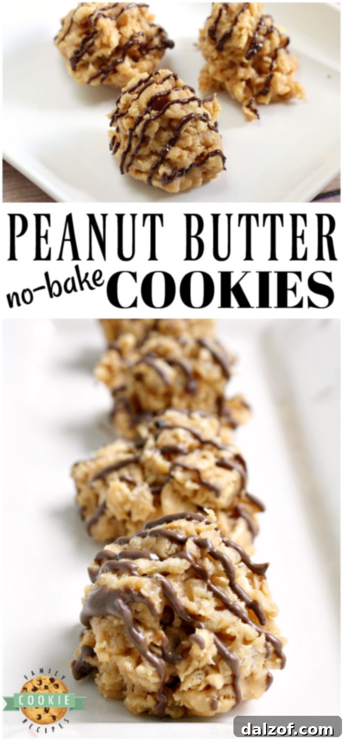 A close-up of beautifully set Peanut Butter No Bake Cookies, showcasing their delightful crunch and optional chocolate drizzle, ready for serving.