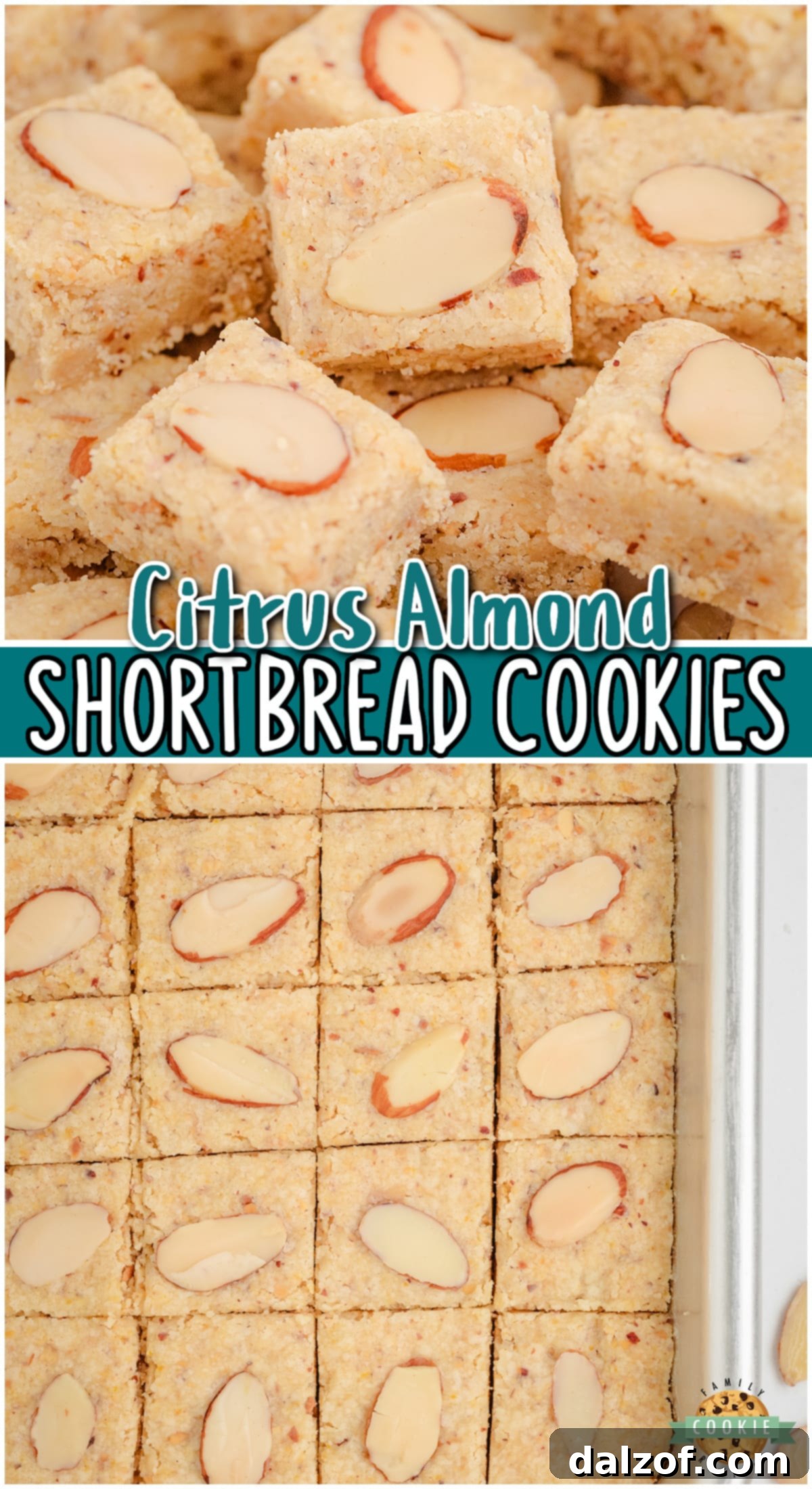 Almond Citrus Shortbread Cookies are tender, buttery cookies bursting with fresh orange flavor which pairs beautifully with the almonds! Lovely shortbread cookie you'll want to save! 