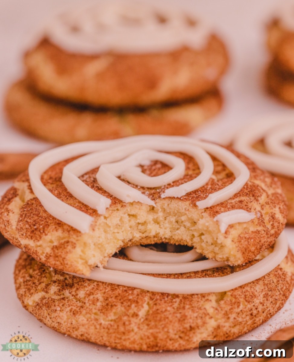 bite out of a cinnamon roll snickerdoodle