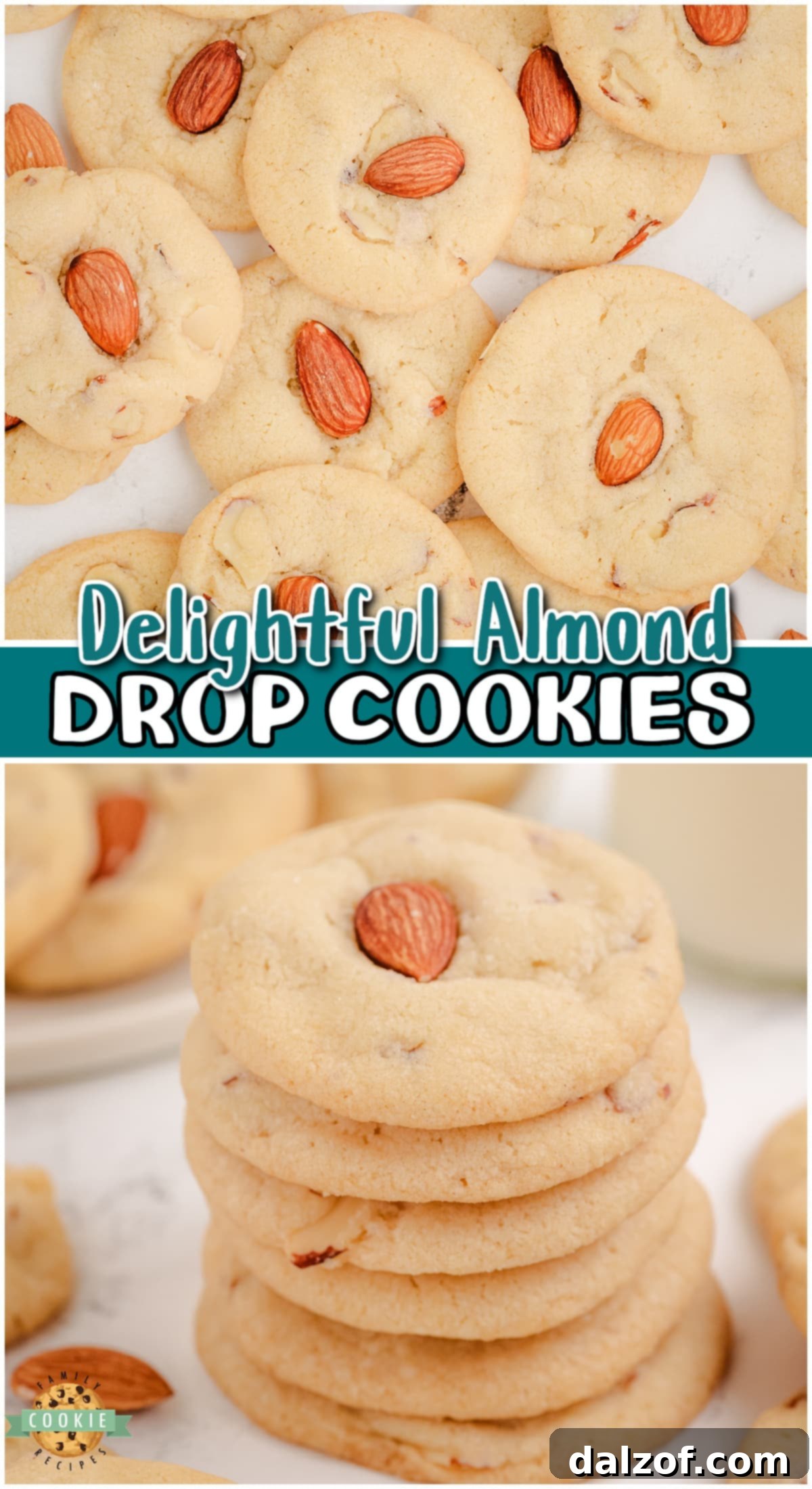 Almond Drop Cookies are easy to make with pantry ingredients & have a delicious buttery, nutty flavor that's irresistible! 