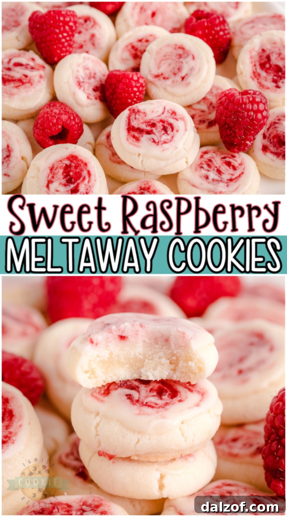 A large Pinterest-friendly image of Raspberry Meltaway Cookies