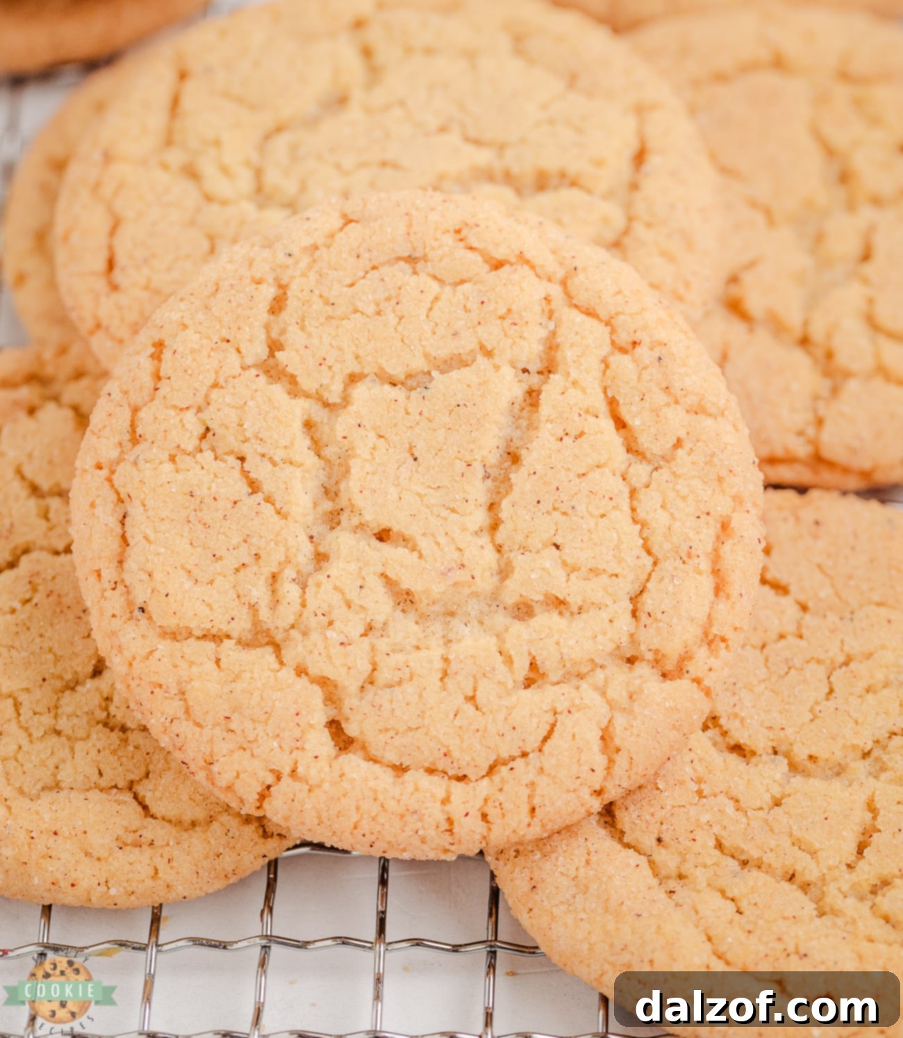 sugar cookies made with brown butter and spiced with cardamom