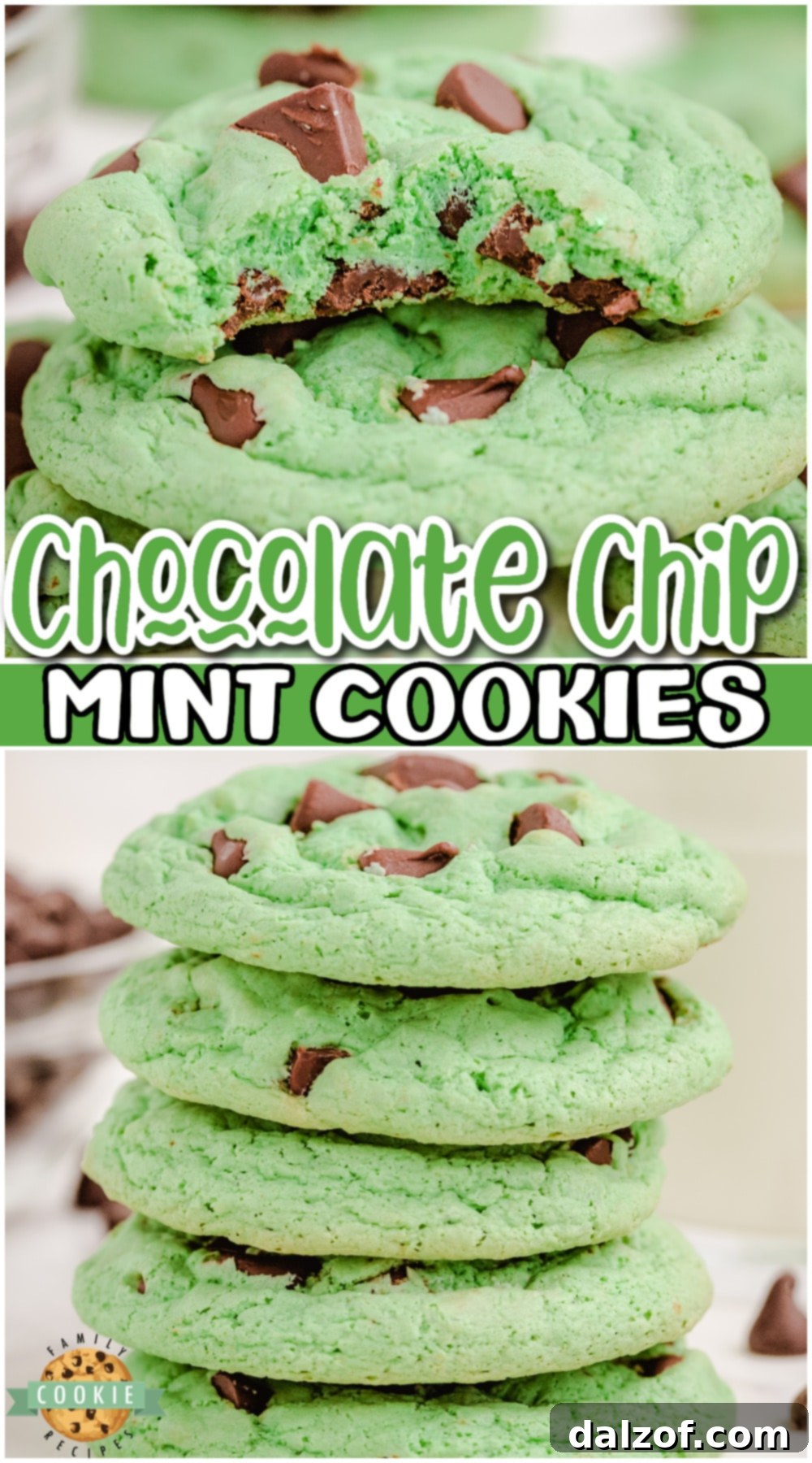 Mint Chocolate Chip Cookies are a sensational dessert made with pudding mix, mint extract and chocolate chips. This amazing mint cookie recipe is perfect for those who love mint chip ice cream!