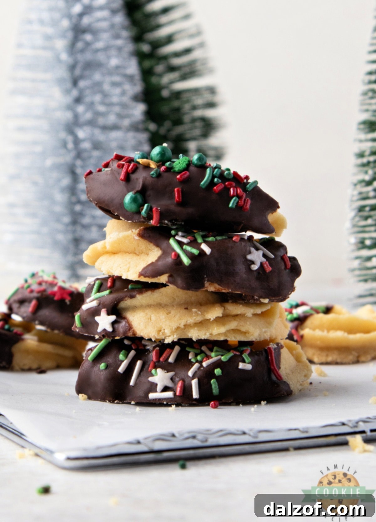Butter cookie recipe dipped in chocolate.
