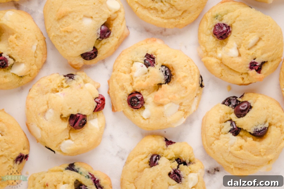 Cookie dough with blueberries and white chocolate chips being gently folded