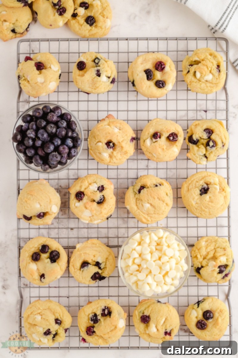 Blueberry cookie dough with white chocolate chips on a baking sheet