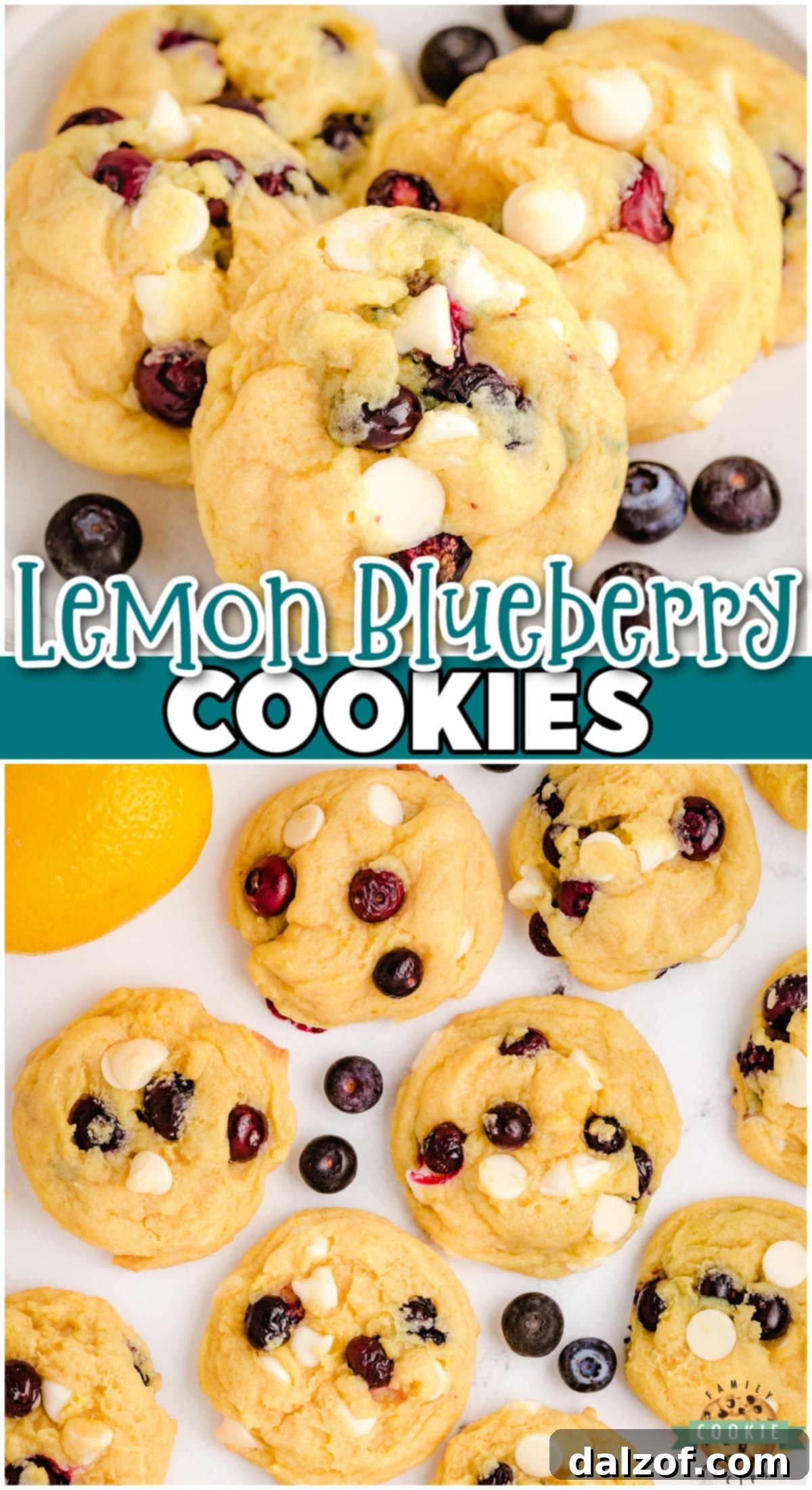 Lemon Blueberry Cookies made with fresh blueberries, folded into a sweet lemon cookie dough! Soft pudding cookie recipe with lovely bright, fresh flavor from blueberries and lemon zest!