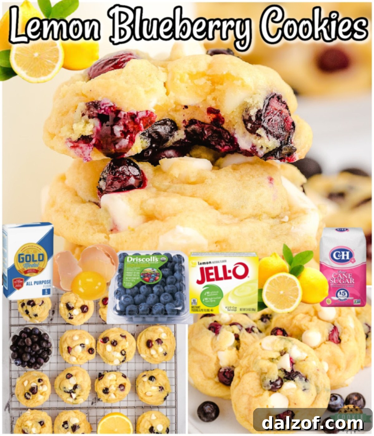 Lemon Blueberry Cookies made with fresh blueberries, folded into a sweet lemon cookie dough! Soft pudding cookie recipe with lovely bright, fresh flavor from blueberries and lemon zest!