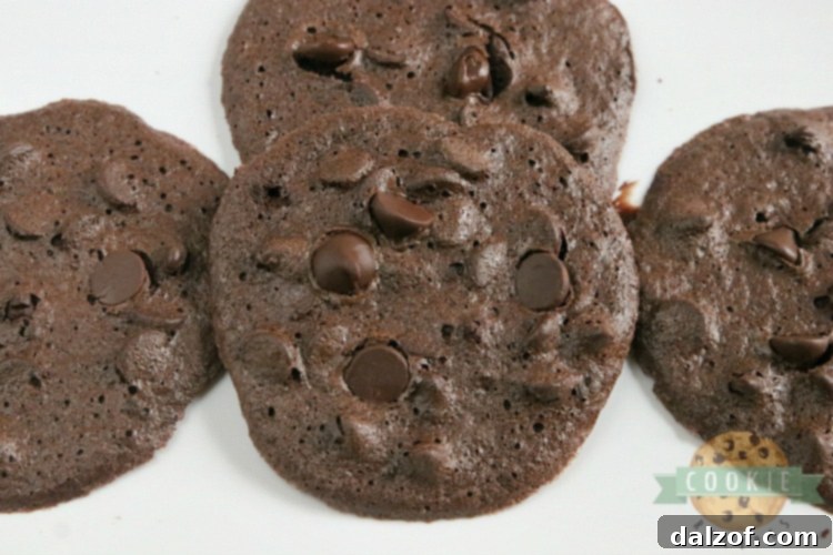 Double Chocolate Cookies with no flour