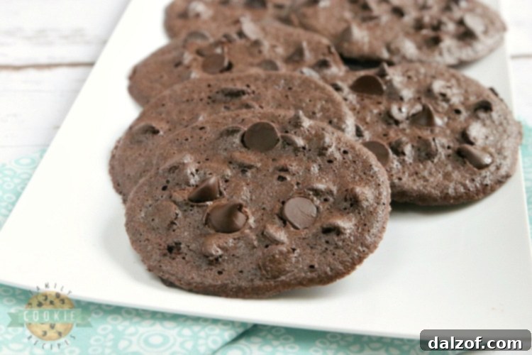 Double Chocolate Cookies with no flour
