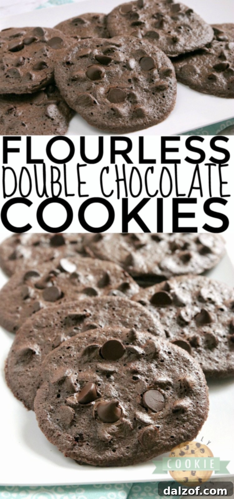 Flourless Double Chocolate Cookies are soft, fudgy and have absolutely no flour in them! The perfect flourless cookie recipe, whether you need a gluten-free cookie or even if you just don't have any flour on hand!