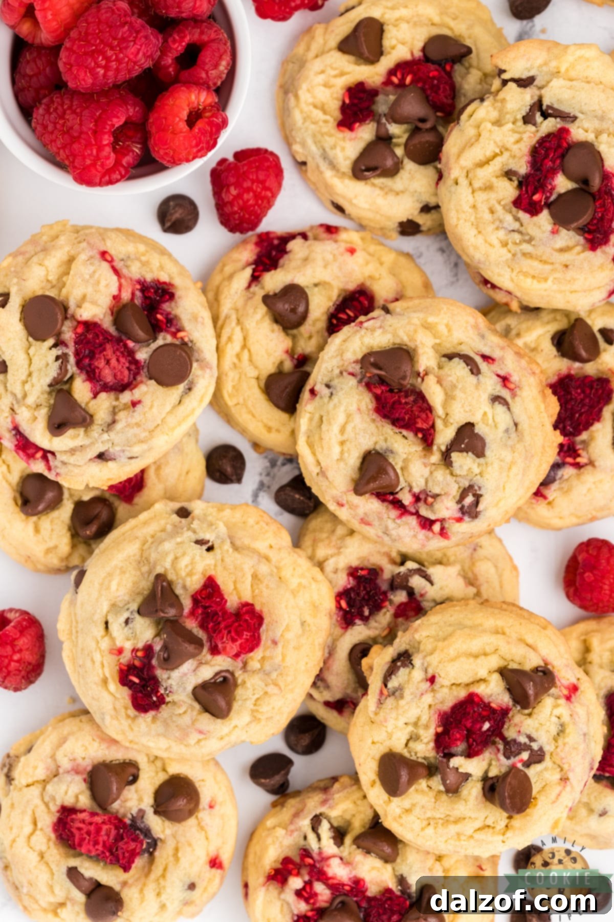 Close-up of a delightful Raspberry Chocolate Chip Cookie.