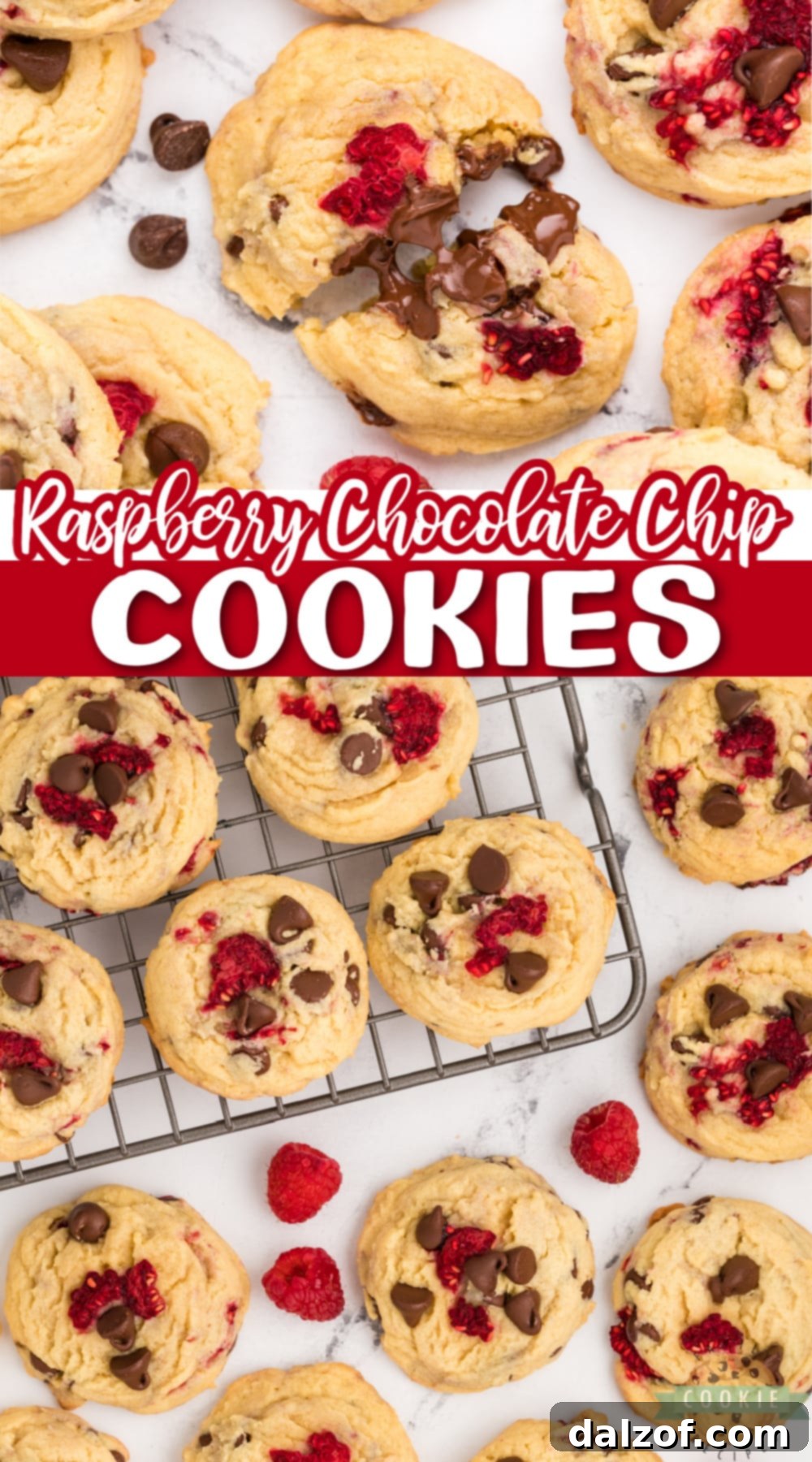 Raspberry Chocolate Chip Cookies are soft, chewy and absolutely amazing! Adding fresh raspberries to a delicious classic chocolate chip cookie recipe makes such a delicious difference!