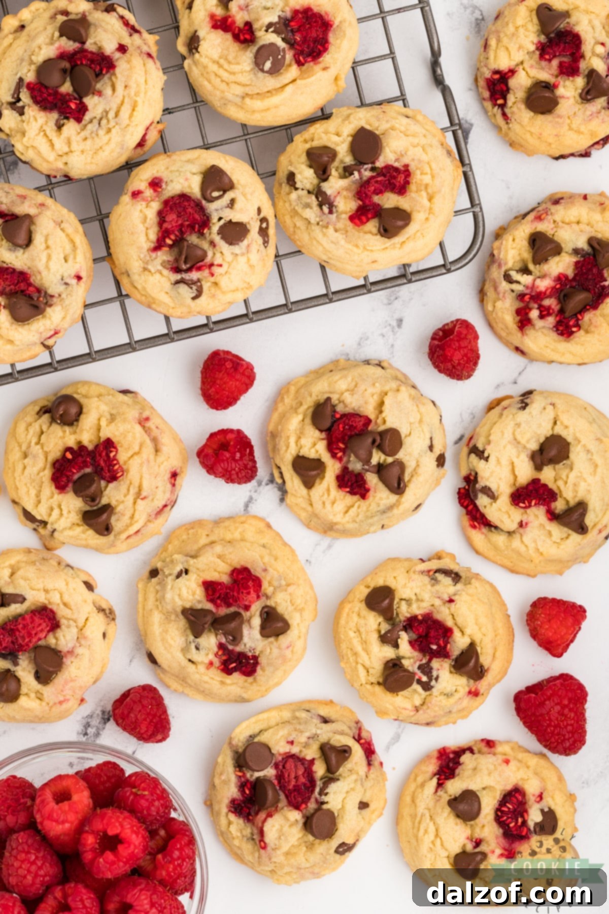 A close-up shot of a delicious chocolate chip cookie recipe featuring fresh, vibrant raspberries.