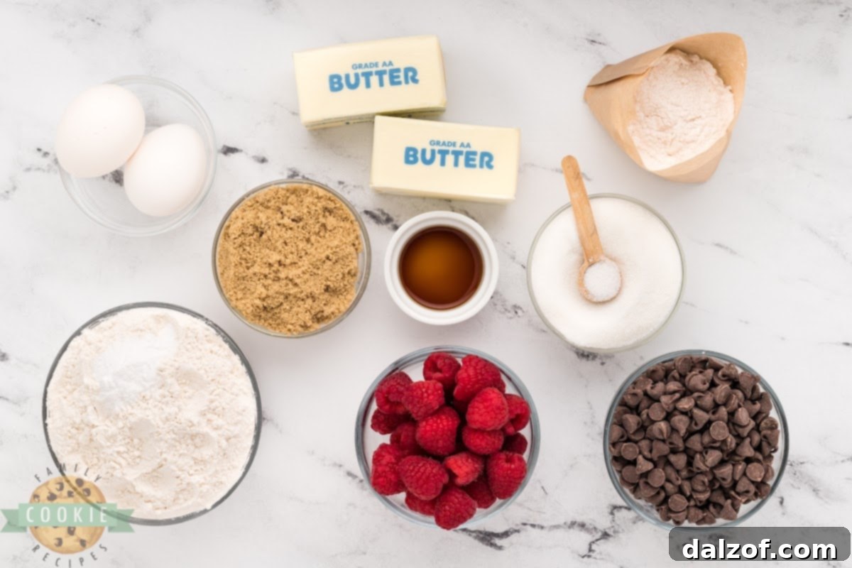 A visual guide to the key ingredients used in making delicious Raspberry Chocolate Chip Cookies.