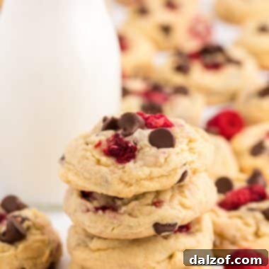 Raspberry Chocolate Chip Cookies