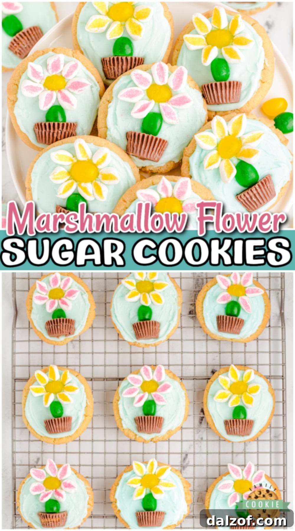 Marshmallow Flower Cookies are easy to make and perfect for Spring baking! Cute flower sugar cookies topped with marshmallow flowers, a jelly bean stem, in a peanut butter chocolate pot.