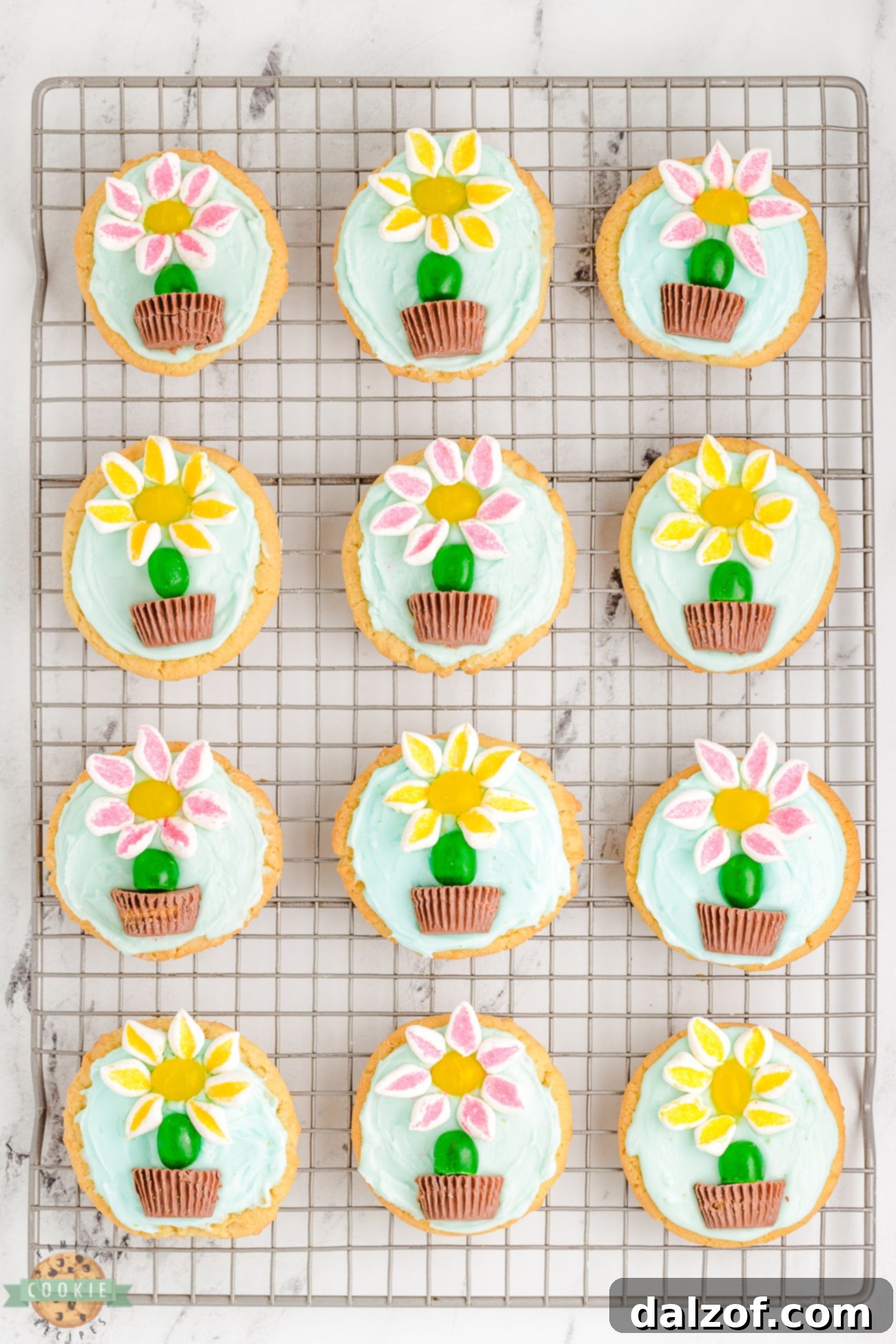 Freshly decorated marshmallow flower cookies cooling on a wire rack, allowing the frosting to set before serving or storing.