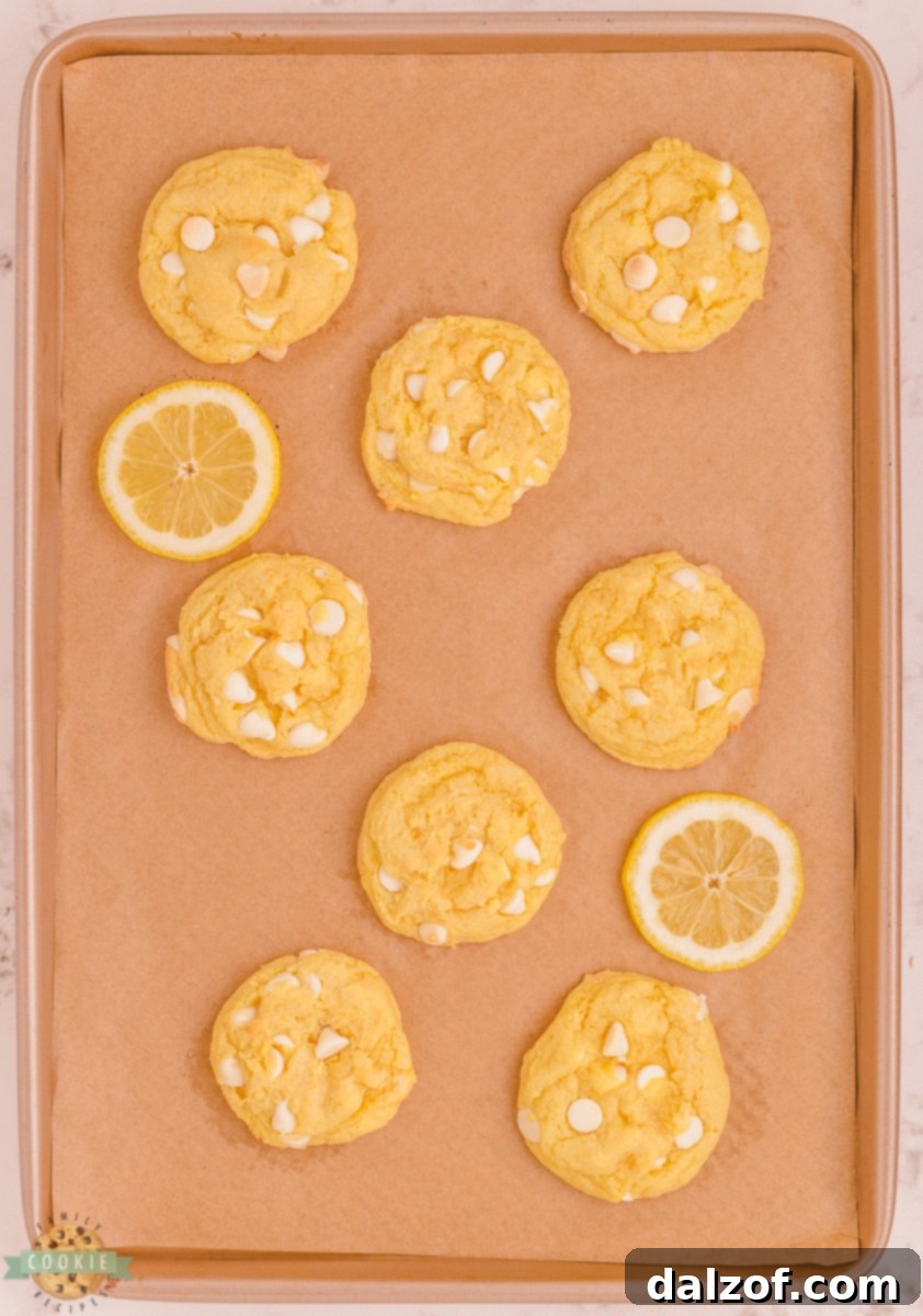 Arrangement of various lemon pudding cookies