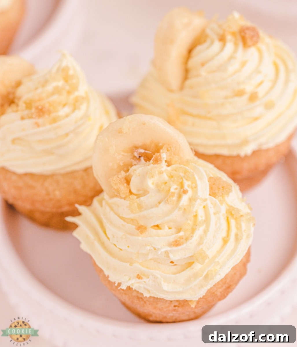Banana Cream Dream Cookies 8 Banana cream pie cookies with a perfect sliced banana on top, ready to be served