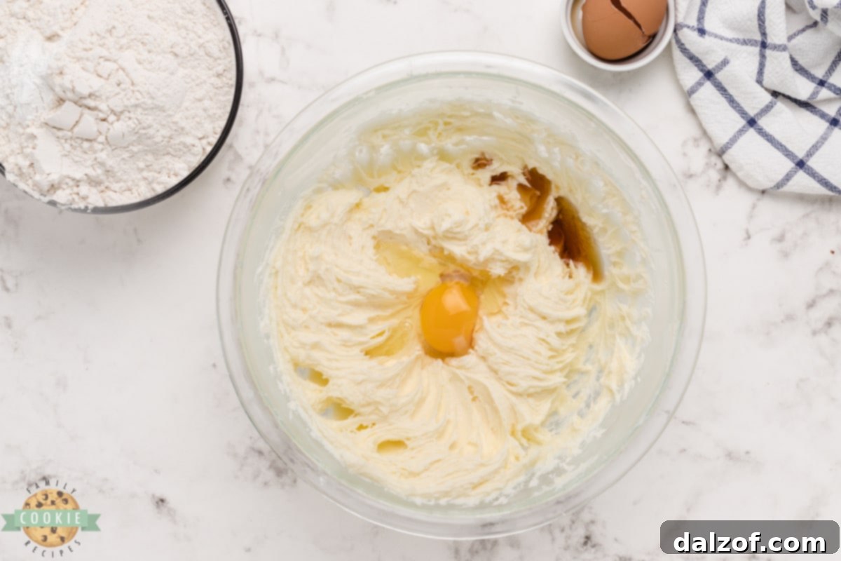 Add egg and vanilla to cookie dough.